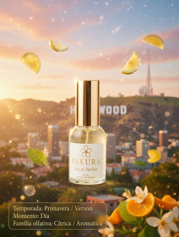 1775581452966-019d68e6-75eb-7d83-8751-b5718fa16bc8 CITY OF STARS