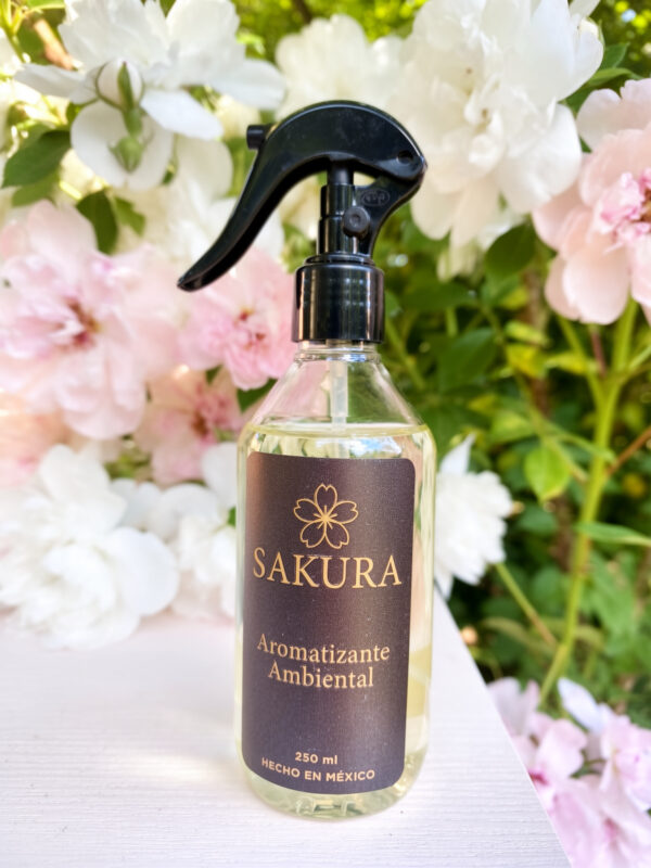 1772574106677-019cb5a6-041f-7418-91fd-593b625a9c39 Garden Bloom