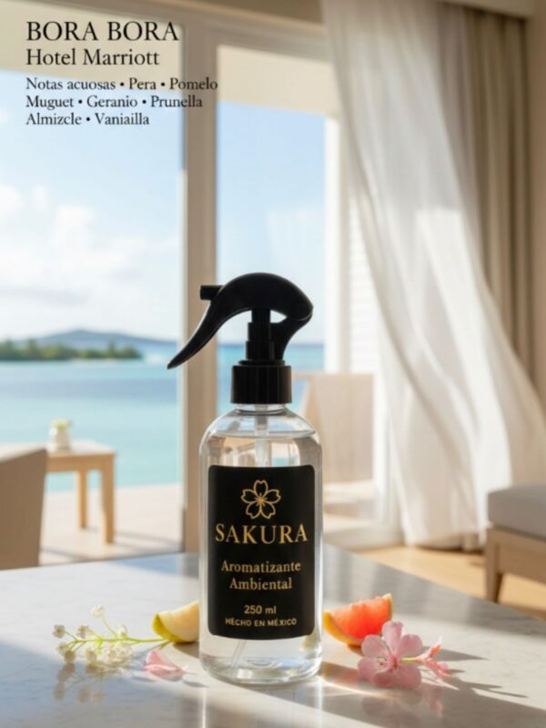 621670636_18081136652216507_8640855479735270418_n Bora Bora